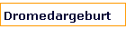 Dromedargeburt